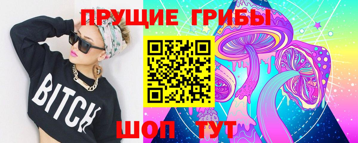 Галлюциногенные грибы Cubensis  Вход с VPN  Карпинск  Псилоцибиновые грибы прущие грибы 