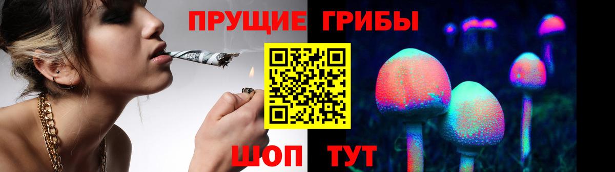 Псилоцибиновые грибы Cubensis Карпинск